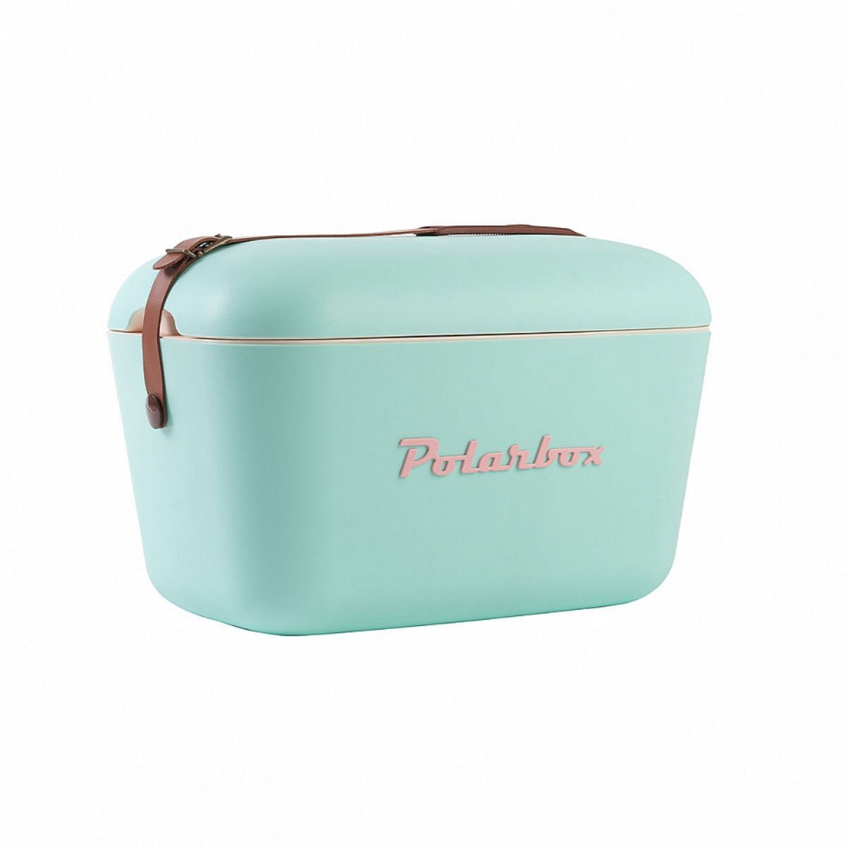 Polarbox Verde Aqua Rosa Classıc   20L Termos Taşıma Kutusu