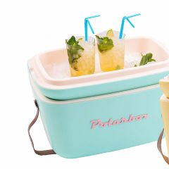 Polarbox Verde Aqua Rosa Classıc   20L Termos Taşıma Kutusu