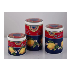 JOY CARMEN CITRUS 3LU KAVANOZ SETI 16CM 13,8CM 10CM