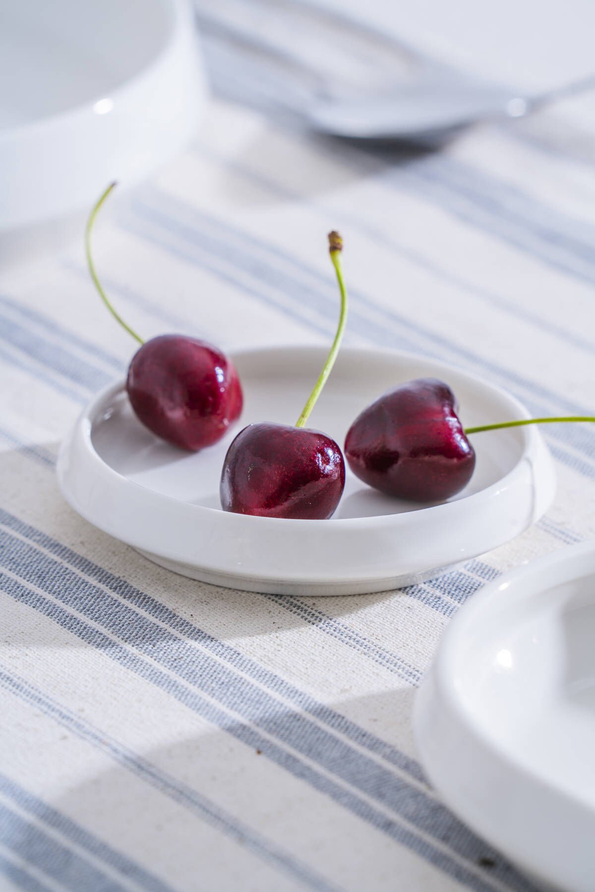 Acar Rumi Yuvarlak Tabak - 10 cm